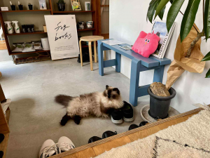 864C24EA-BF94-4ECE-9887-9B5DB045B399